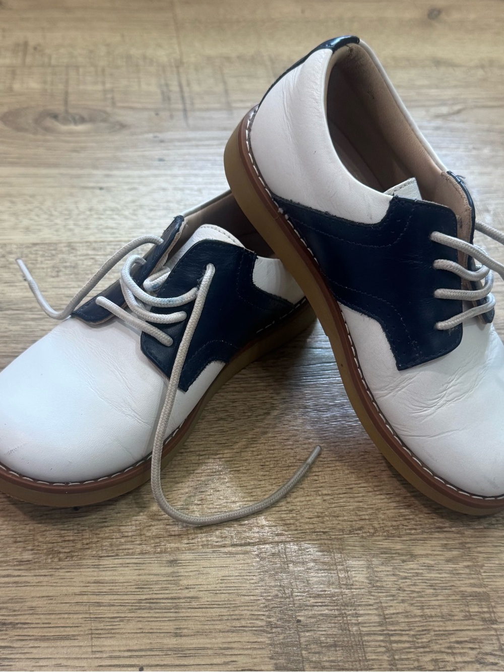 Elephantito White and Navy Two-Tone Men's Derby Shoes